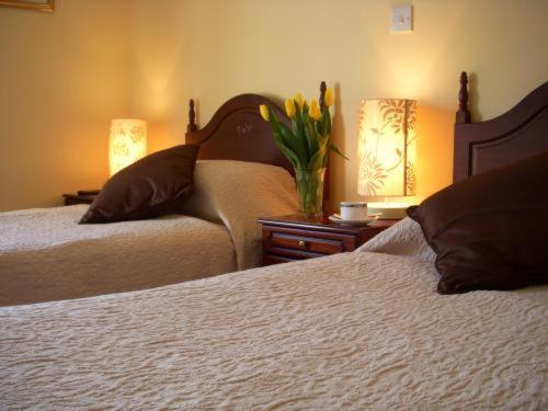 Dun Ri Guesthouse Clifden Oda fotoğraf